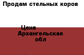 Продам стельных коров  › Цена ­ 90 000 - Архангельская обл., Котласский р-н, Удимский пгт Другое » Продам   